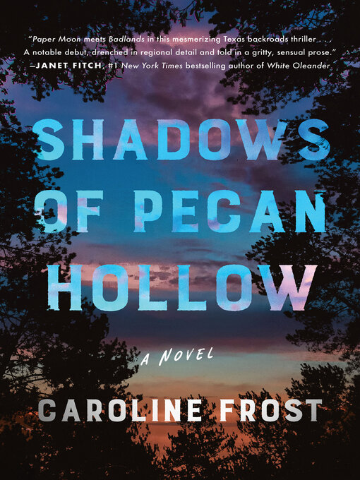 Cover image for Shadows of Pecan Hollow